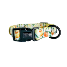 Load image into Gallery viewer, Showcaing Yellow, lime, orange, leaf pattern Dog Collar with metal D ring in black colour from Woof First