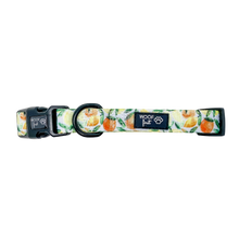 Load image into Gallery viewer, Showcasing Flat lay Yellow, lime, orange, leaf pattern Dog Collar with metal D ring in black colour from Woof First