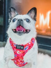 Load image into Gallery viewer, ADJUSTABLE HARNESS - PINK PARADISE