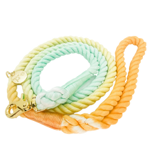 Load image into Gallery viewer, The image shown is of the Dogs Rope leash in 3 blended colours of mint, yellow and orange. The rope leash has gold metal hardware finishes and has Woof First imprinted on a round charm.