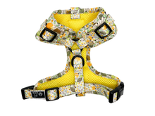 Load image into Gallery viewer, ADJUSTABLE HARNESS - PRECIOUS
