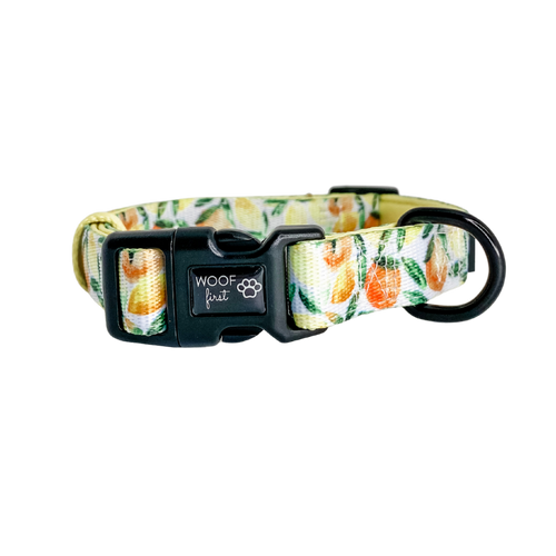 Showcaing Yellow, lime, orange, leaf pattern Dog Collar with metal D ring in black colour from Woof First 
