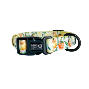 Showcaing Yellow, lime, orange, leaf pattern Dog Collar with metal D ring in black colour from Woof First 