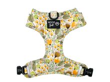 Load image into Gallery viewer, ADJUSTABLE HARNESS - PRECIOUS
