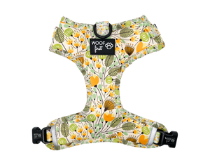 ADJUSTABLE HARNESS - PRECIOUS