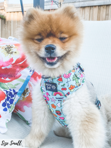 ADJUSTABLE HARNESS - SUMMER VIBES
