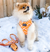 Load image into Gallery viewer, Featuring a pomeranian dog wearing the adjustable harness
