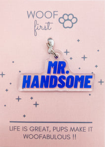 Blue Colour Writing saying MR. HANDSOME all in capitals
