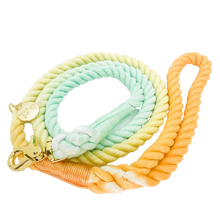 Load image into Gallery viewer, The image shown is of the Dogs Rope leash in 3 blended colours of mint, yellow and orange. The rope leash has gold metal hardware finishes and has Woof First imprinted on a round charm. 
