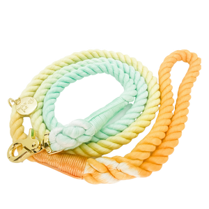 The image shown is of the Dogs Rope leash in 3 blended colours of mint, yellow and orange. The rope leash has gold metal hardware finishes and has Woof First imprinted on a round charm. 