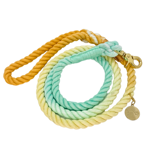 The image shown is of the Dogs Rope leash in 3 blended colours of mint, yellow and orange. The rope leash has gold metal hardware finishes and has Woof First imprinted on a round charm. 