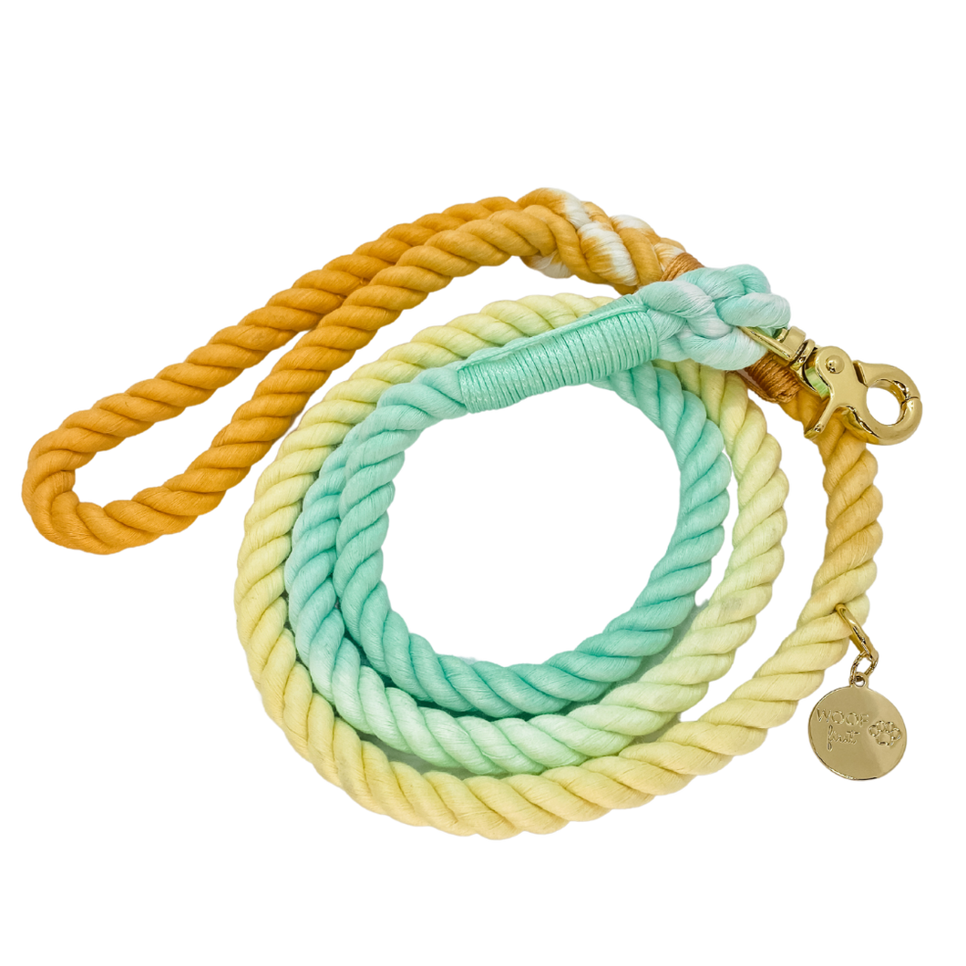 The image shown is of the Dogs Rope leash in 3 blended colours of mint, yellow and orange. The rope leash has gold metal hardware finishes and has Woof First imprinted on a round charm. 